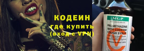 крисы Армянск