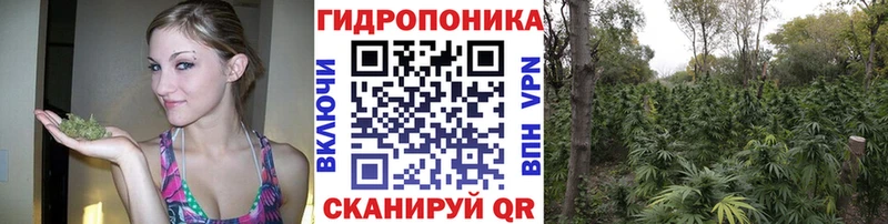 Бошки Шишки White Widow  купить  цена  Сунжа 